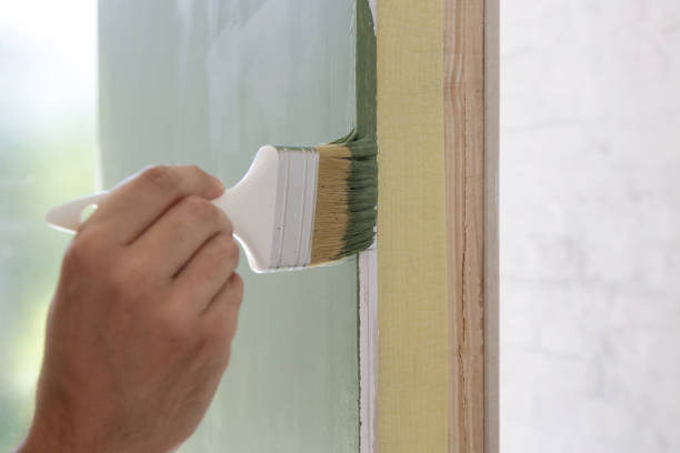 Reliable Darien, GA Mold Removal Solutions