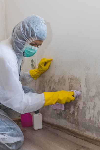 Best Air Quality Testing for Mold Spores  in Darien, GA
