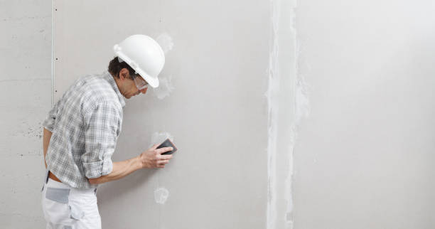 Best Industrial Mold Remediation  in Darien, GA