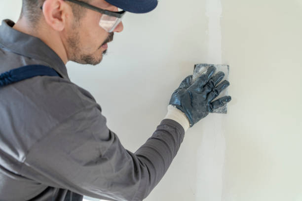 Best Water Damage & Mold Remediation  in Darien, GA