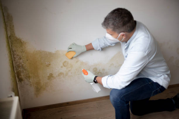 Best Indoor Air Quality Assessment  in Darien, GA