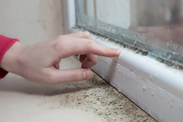 Best Air Quality Testing for Mold Spores  in Darien, GA