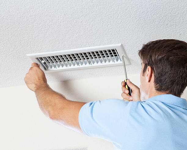 Best Emergency Mold Remediation  in Darien, GA