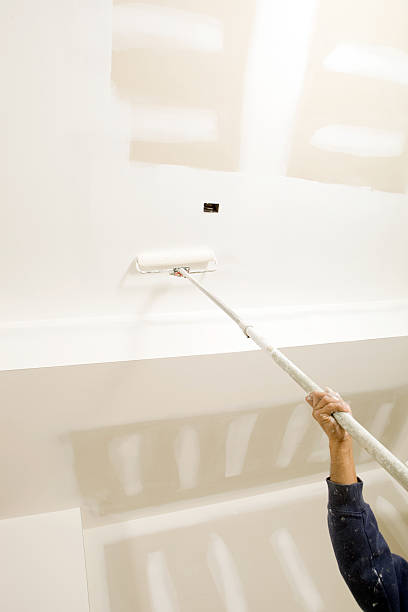 Best Mold Documentation for Insurance Claims  in Darien, GA