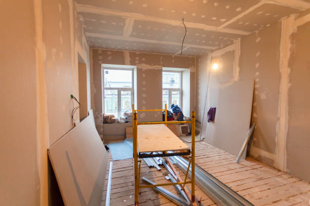 Best Mold Remediation for Rental Properties  in Darien, GA
