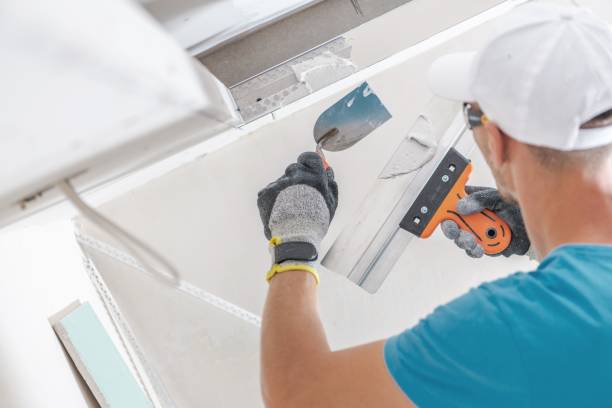 Best Airborne Mold Testing  in Darien, GA